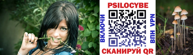 Галлюциногенные грибы мухоморы  Сольвычегодск 